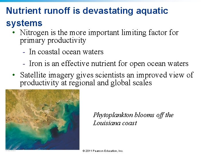 Nutrient runoff is devastating aquatic systems • Nitrogen is the more important limiting factor