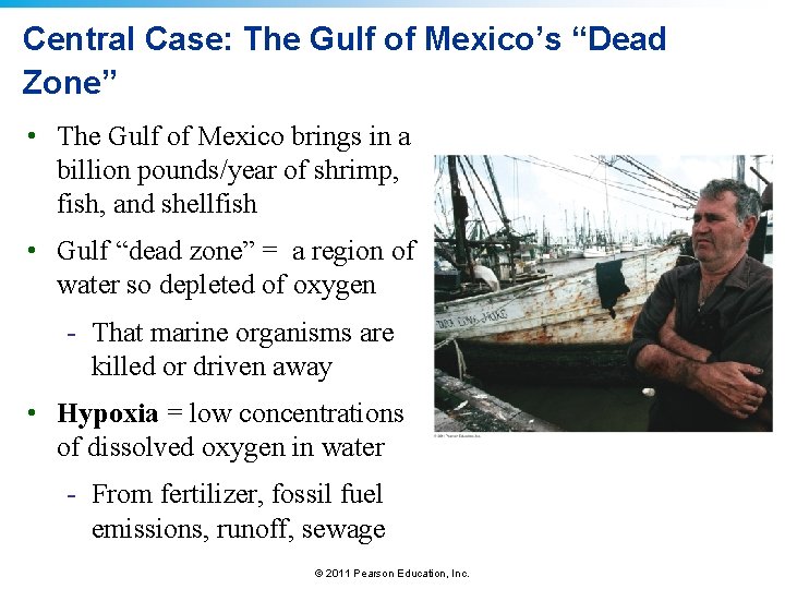 Central Case: The Gulf of Mexico’s “Dead Zone” • The Gulf of Mexico brings