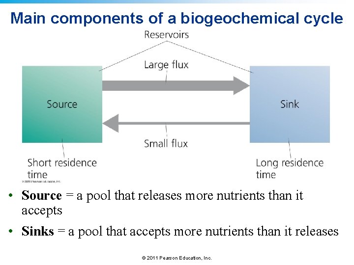 Main components of a biogeochemical cycle • Source = a pool that releases more