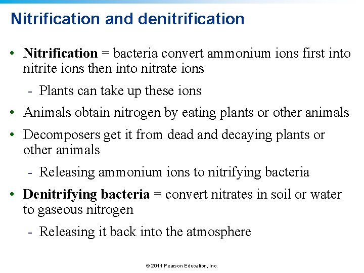 Nitrification and denitrification • Nitrification = bacteria convert ammonium ions first into nitrite ions