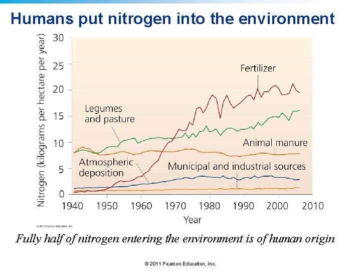 Humans put nitrogen into the environment Fully half of nitrogen entering the environment is