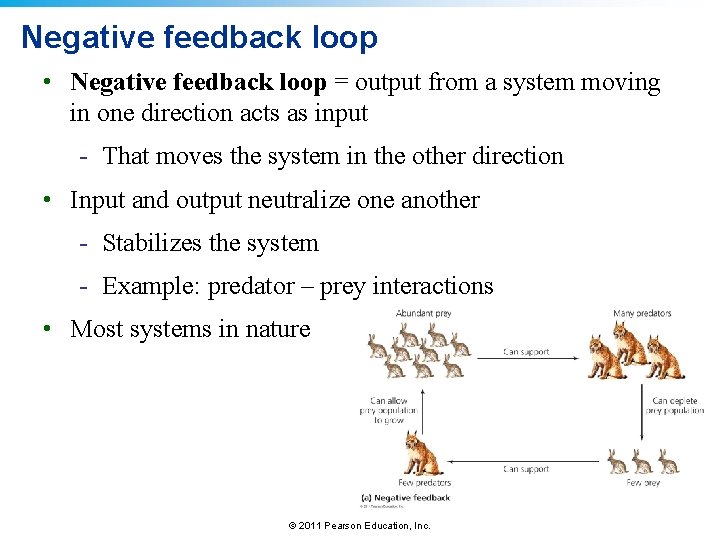 Negative feedback loop • Negative feedback loop = output from a system moving in