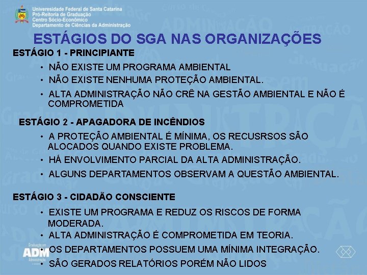 ESTÁGIOS DO SGA NAS ORGANIZAÇÕES ESTÁGIO 1 - PRINCIPIANTE • NÃO EXISTE UM PROGRAMA