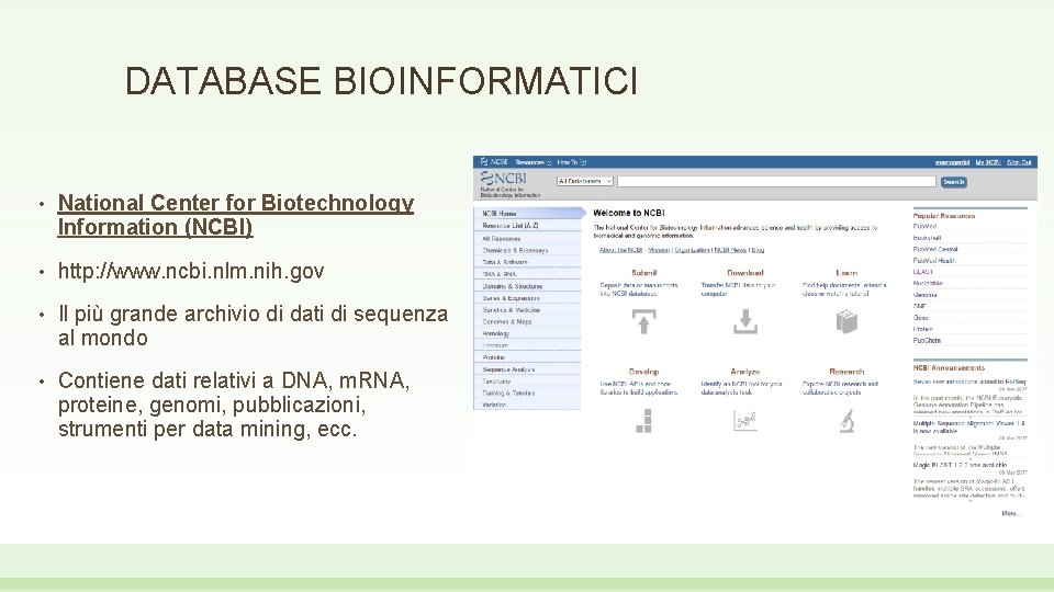 DATABASE BIOINFORMATICI • National Center for Biotechnology Information (NCBI) • http: //www. ncbi. nlm.