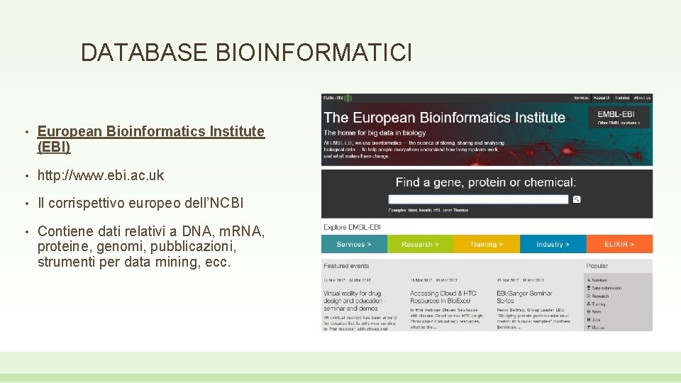 DATABASE BIOINFORMATICI • European Bioinformatics Institute (EBI) • http: //www. ebi. ac. uk •