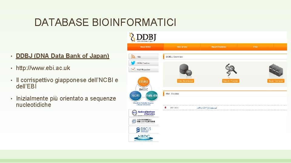 DATABASE BIOINFORMATICI • DDBJ (DNA Data Bank of Japan) • http: //www. ebi. ac.