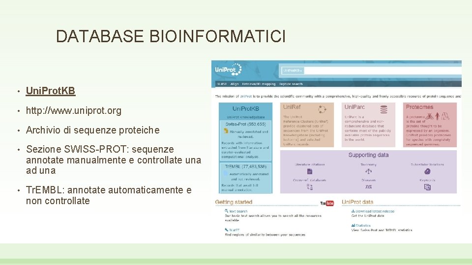 DATABASE BIOINFORMATICI • Uni. Prot. KB • http: //www. uniprot. org • Archivio di