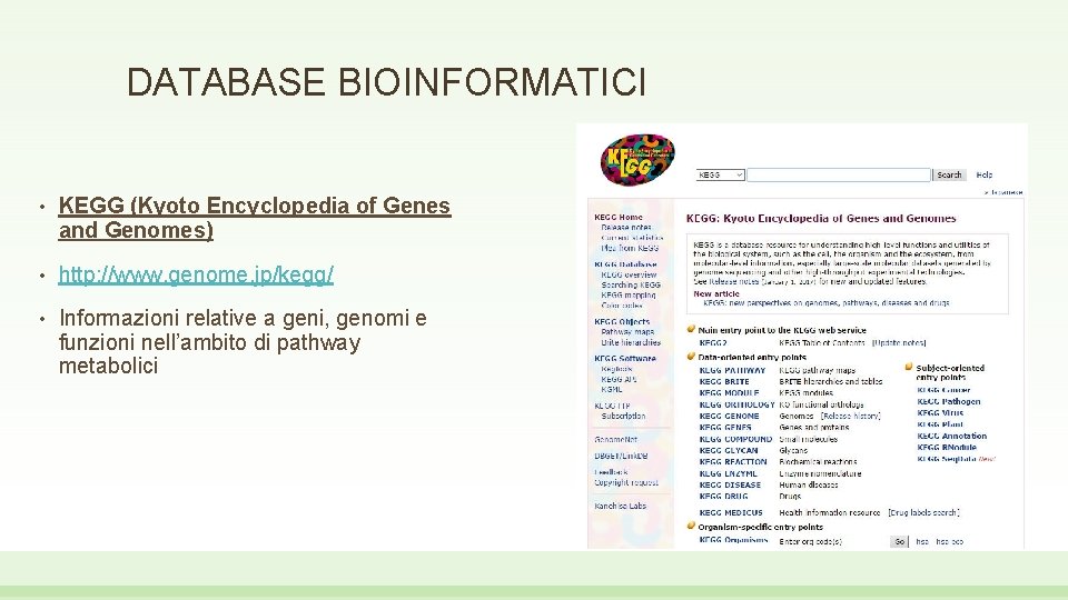 DATABASE BIOINFORMATICI • KEGG (Kyoto Encyclopedia of Genes and Genomes) • http: //www. genome.