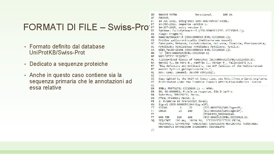 FORMATI DI FILE – Swiss-Prot • Formato definito dal database Uni. Prot. KB/Swiss-Prot •