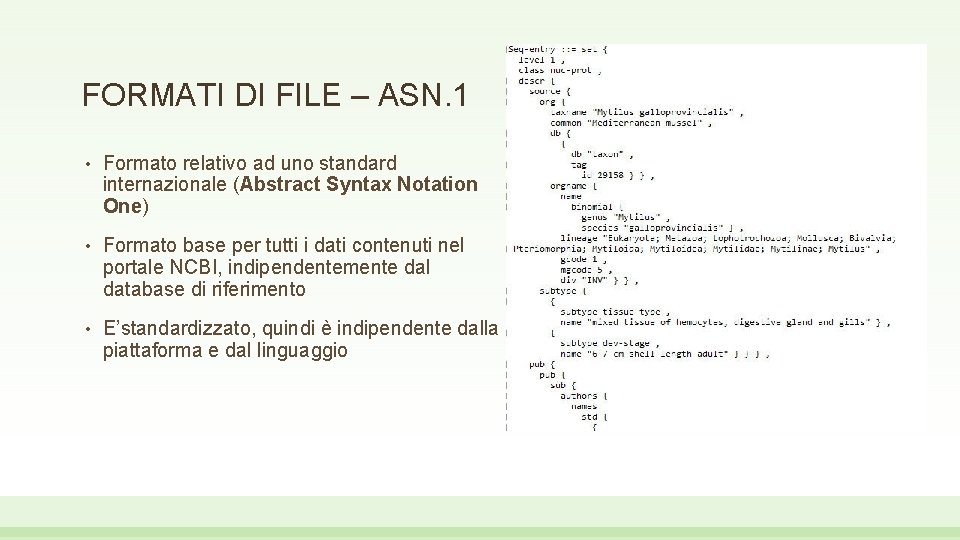 FORMATI DI FILE – ASN. 1 • Formato relativo ad uno standard internazionale (Abstract