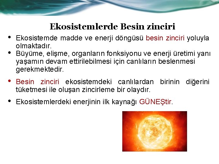 Ekosistemlerde Besin zinciri • • Ekosistemde madde ve enerji döngüsü besin zinciri yoluyla olmaktadır.