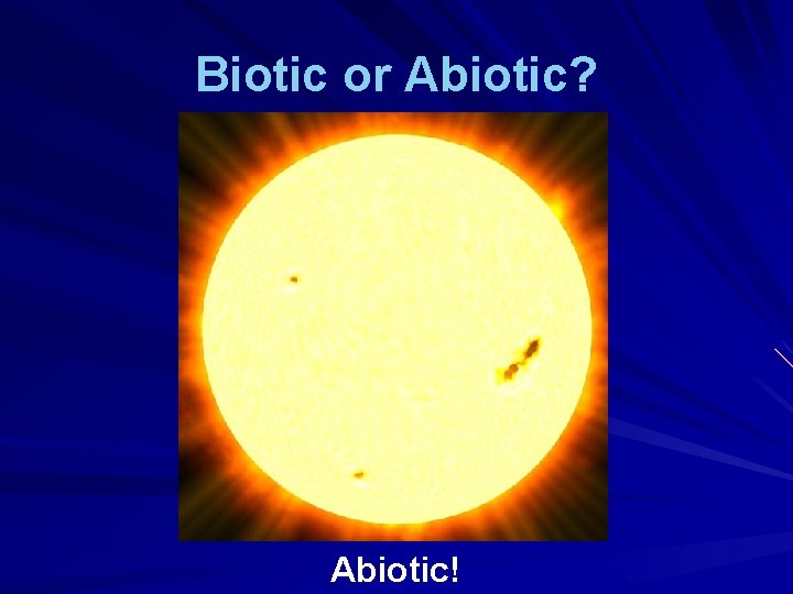 Biotic or Abiotic? Abiotic! 