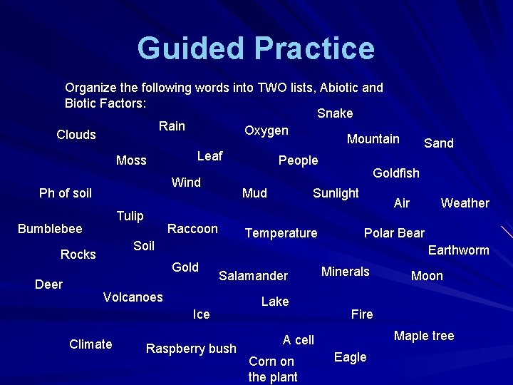 Guided Practice Organize the following words into TWO lists, Abiotic and Biotic Factors: Snake