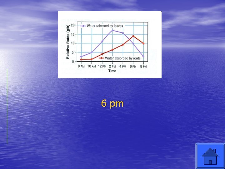 6 pm 