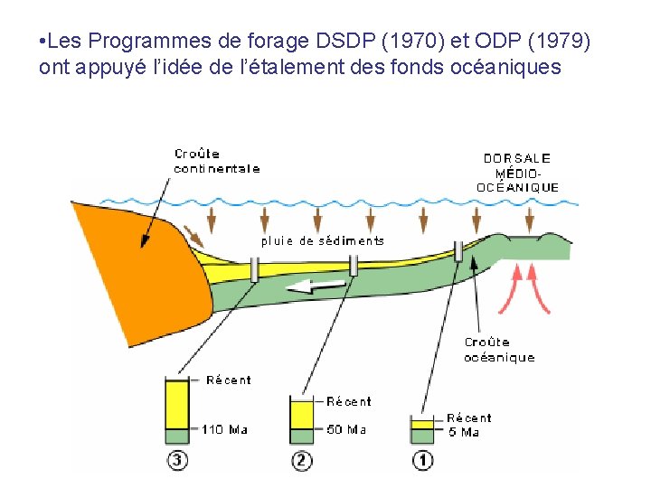  • Les Programmes de forage DSDP (1970) et ODP (1979) ont appuyé l’idée