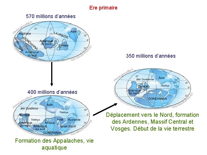 Ere primaire 570 millions d’années 350 millions d’années 400 millions d’années Déplacement vers le