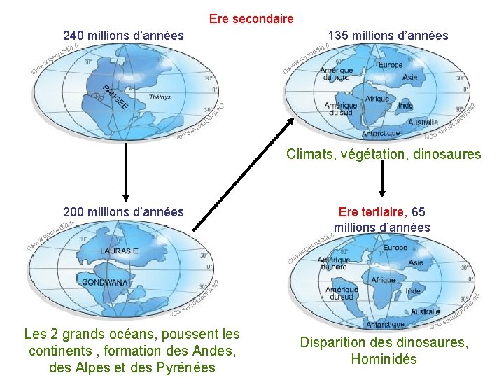 Ere secondaire 240 millions d’années 135 millions d’années Climats, végétation, dinosaures 200 millions d’années