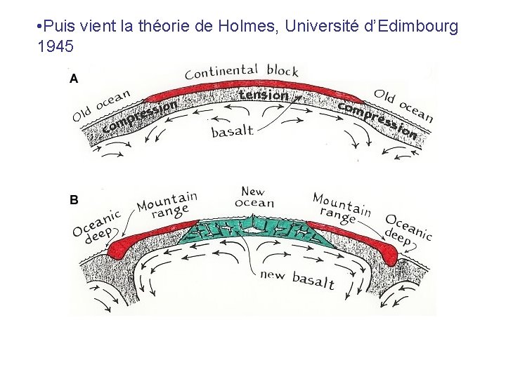  • Puis vient la théorie de Holmes, Université d’Edimbourg 1945 