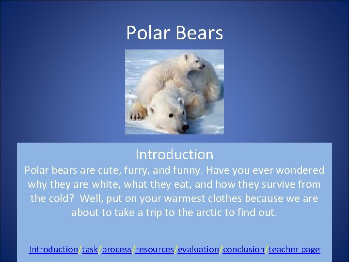 Polar Bears Introduction Polar bears are cute, furry, and funny. Have you ever wondered