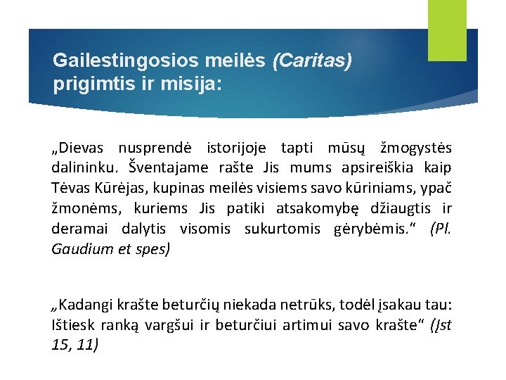 Gailestingosios meilės (Caritas) prigimtis ir misija: „Dievas nusprendė istorijoje tapti mūsų žmogystės dalininku. Šventajame