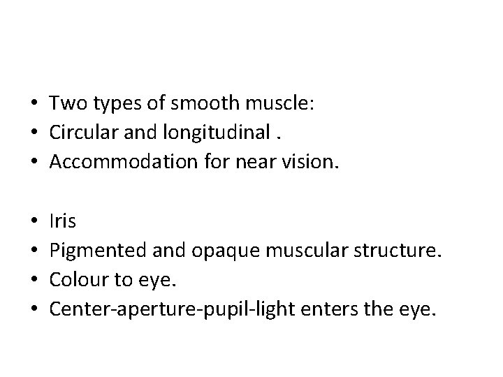  • Two types of smooth muscle: • Circular and longitudinal. • Accommodation for