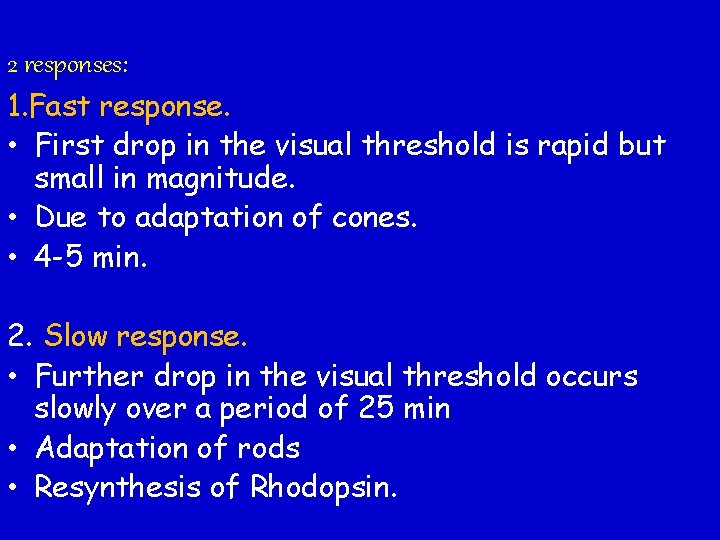 2 responses: 1. Fast response. • First drop in the visual threshold is rapid