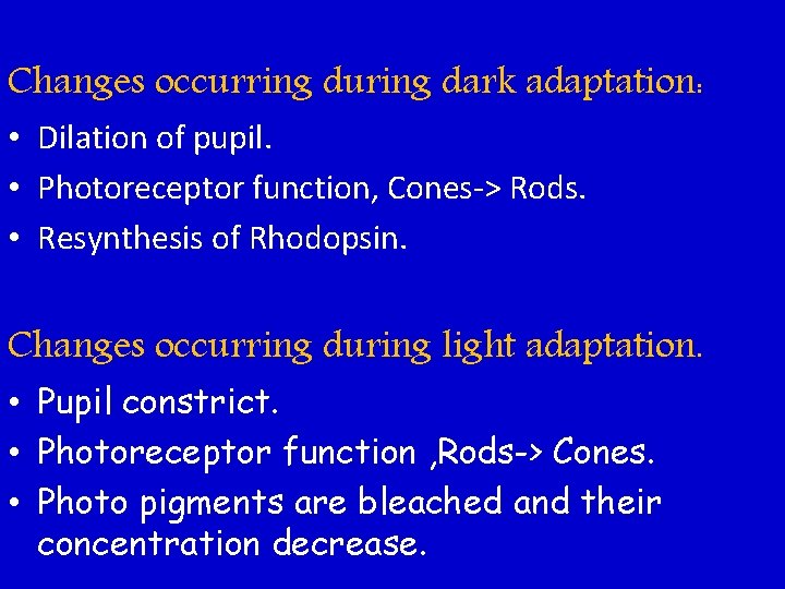 Changes occurring during dark adaptation: • Dilation of pupil. • Photoreceptor function, Cones-> Rods.