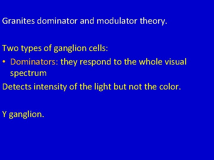 Granites dominator and modulator theory. Two types of ganglion cells: • Dominators: they respond