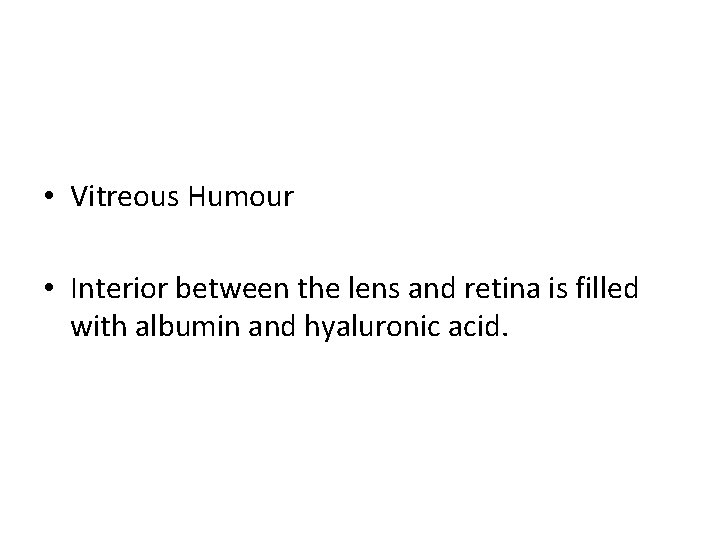  • Vitreous Humour • Interior between the lens and retina is filled with