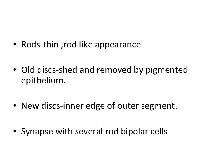  • Rods-thin , rod like appearance • Old discs-shed and removed by pigmented