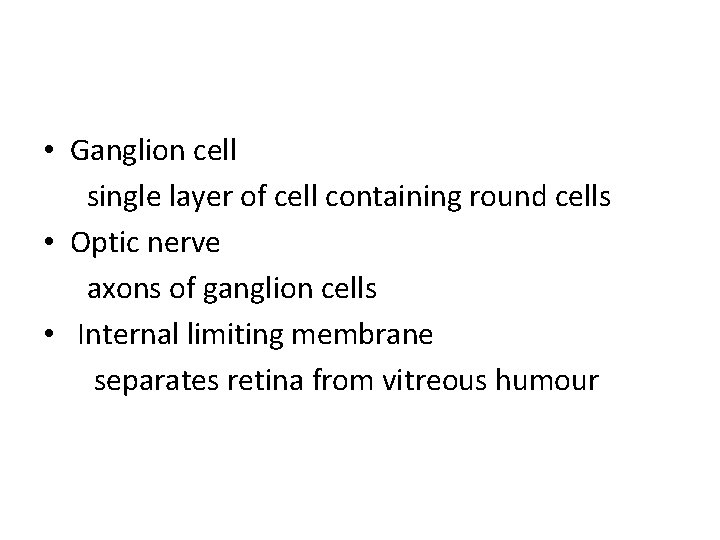  • Ganglion cell single layer of cell containing round cells • Optic nerve