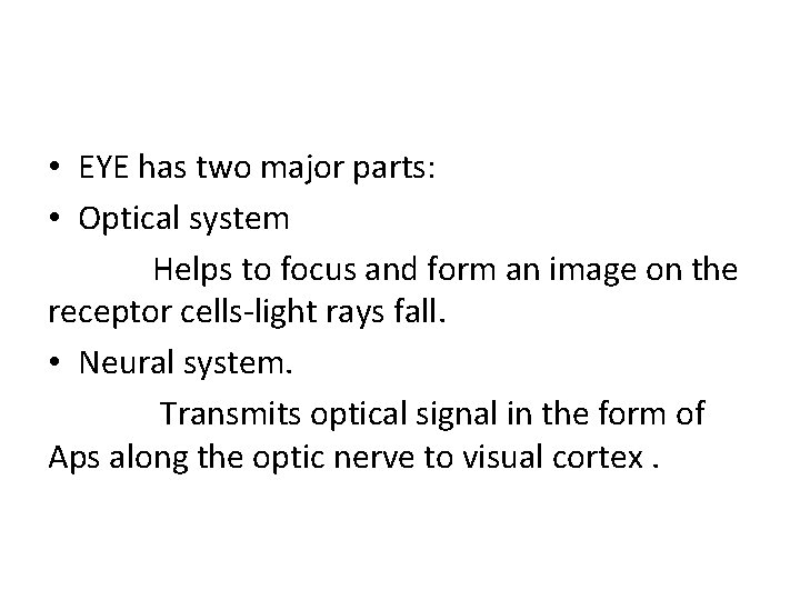  • EYE has two major parts: • Optical system Helps to focus and