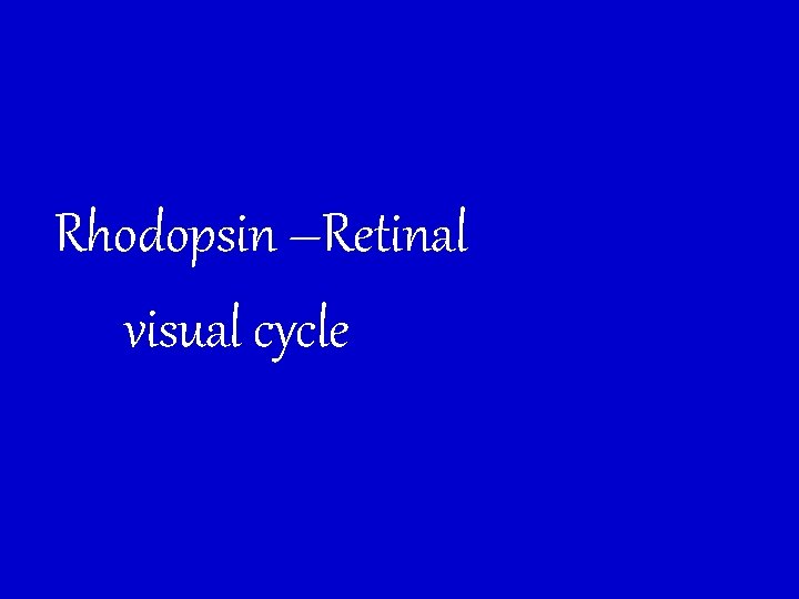 Rhodopsin –Retinal visual cycle 