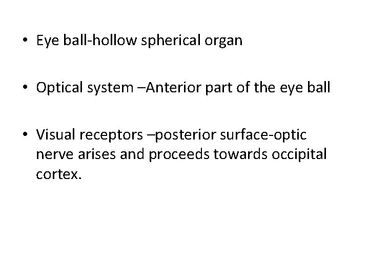  • Eye ball-hollow spherical organ • Optical system –Anterior part of the eye