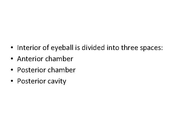  • • Interior of eyeball is divided into three spaces: Anterior chamber Posterior
