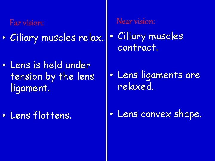 Far vision: Near vision: • Ciliary muscles relax. • Ciliary muscles contract. • Lens