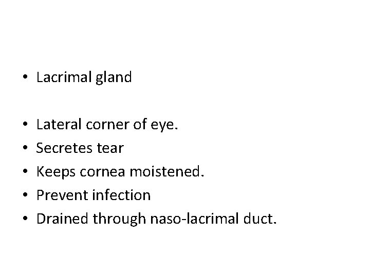  • Lacrimal gland • • • Lateral corner of eye. Secretes tear Keeps