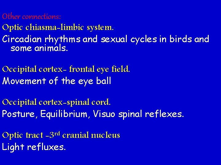 Other connections: Optic chiasma-limbic system. Circadian rhythms and sexual cycles in birds and some