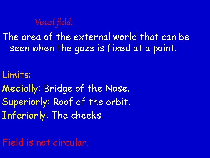 Visual field: The area of the external world that can be seen when the