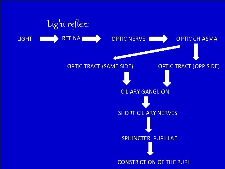 Light reflex: LIGHT RETINA OPTIC NERVE OPTIC TRACT (SAME SIDE) OPTIC CHIASMA OPTIC TRACT