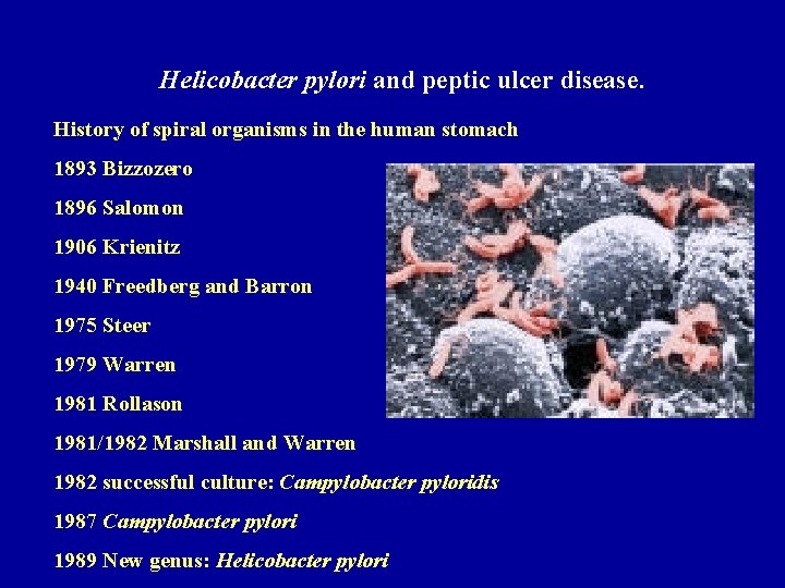 Helicobacter pylori and peptic ulcer disease. History of spiral organisms in the human stomach
