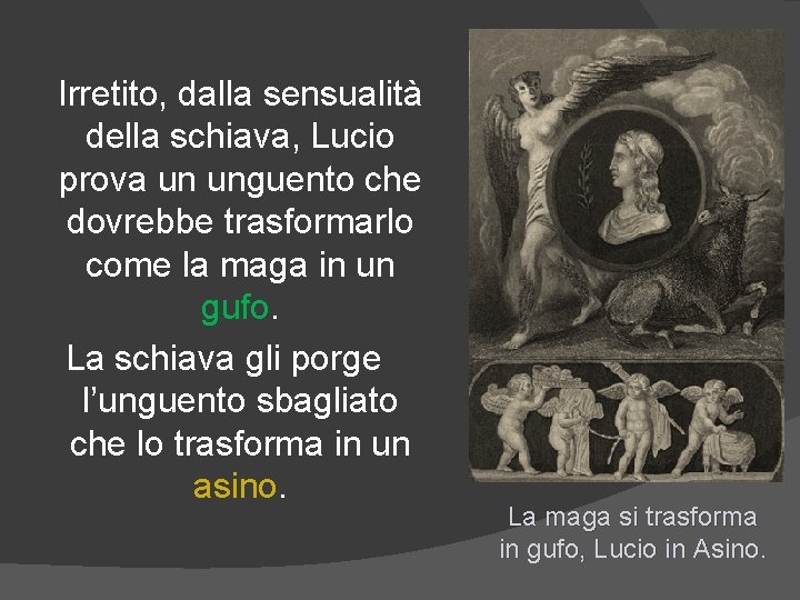 Irretito, dalla sensualità della schiava, Lucio prova un unguento che dovrebbe trasformarlo come la