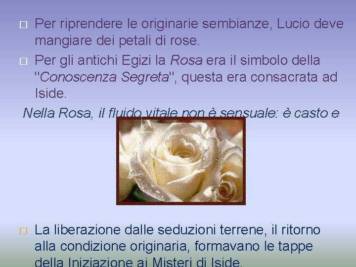 Per riprendere le originarie sembianze, Lucio deve mangiare dei petali di rose. � Per