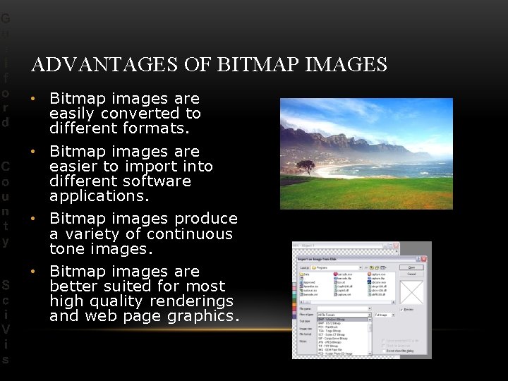 ADVANTAGES OF BITMAP IMAGES • Bitmap images are easily converted to different formats. •