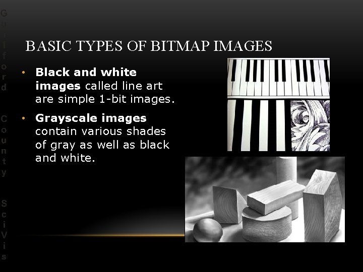 BASIC TYPES OF BITMAP IMAGES • Black and white images called line art are