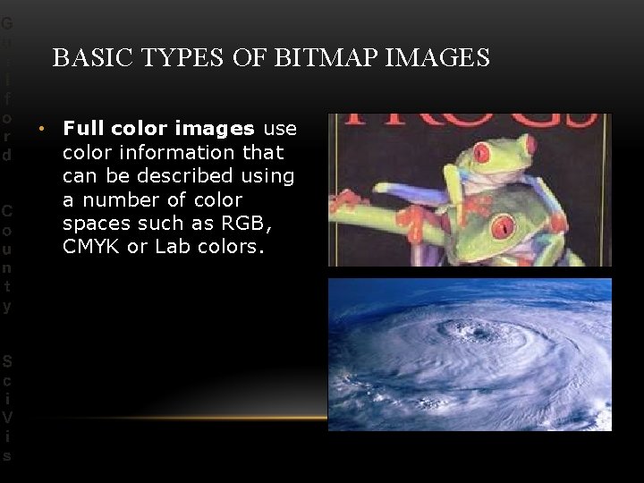 BASIC TYPES OF BITMAP IMAGES • Full color images use color information that can