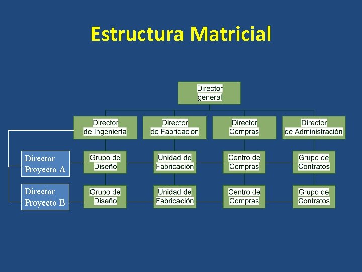 Estructura Matricial Director Proyecto A Director Proyecto B 
