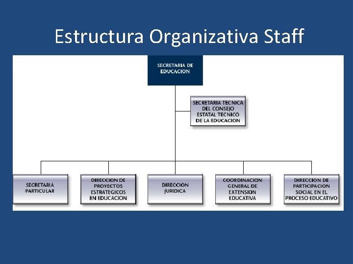 Estructura Organizativa Staff 