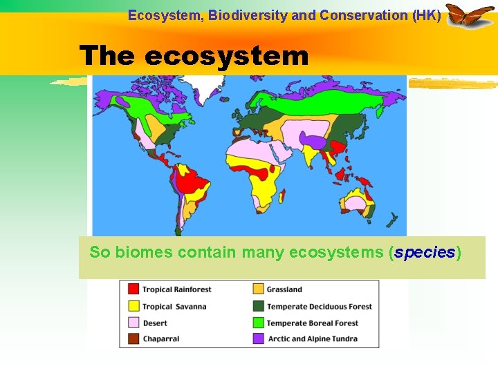Ecosystem, Biodiversity and Conservation (HK) The ecosystem So biomes contain many ecosystems (species) 