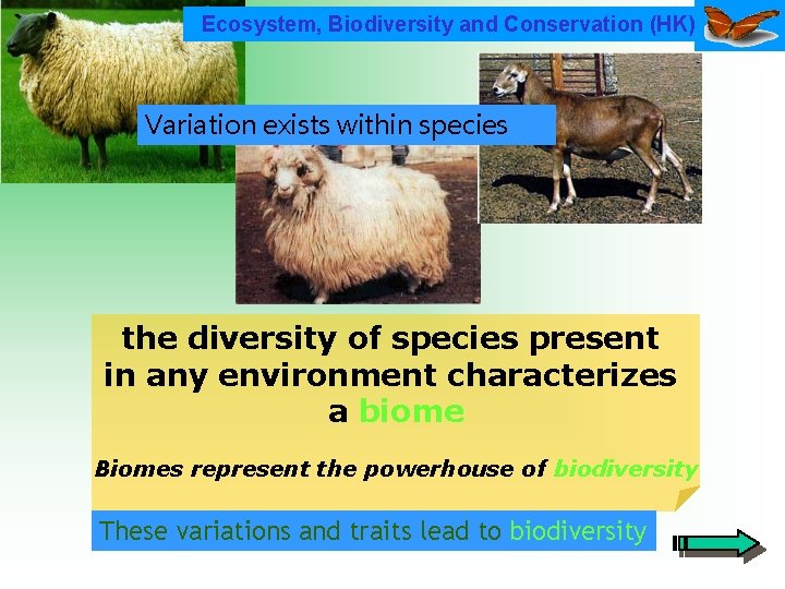 Ecosystem, Biodiversity and Conservation (HK) Variation exists within species the diversity of species present